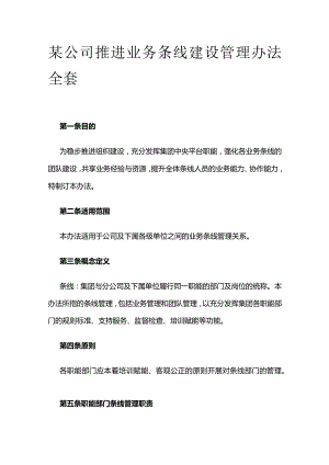 某公司推进业务条线建设管理办法全套.docx