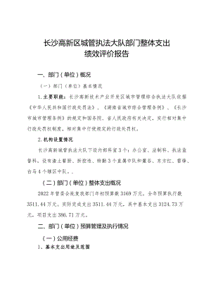 长沙高新区城管执法大队部门整体支出绩效评价报告.docx