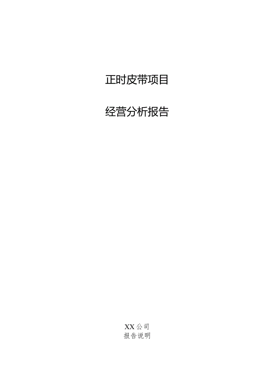 正时皮带项目经营分析报告.docx_第1页