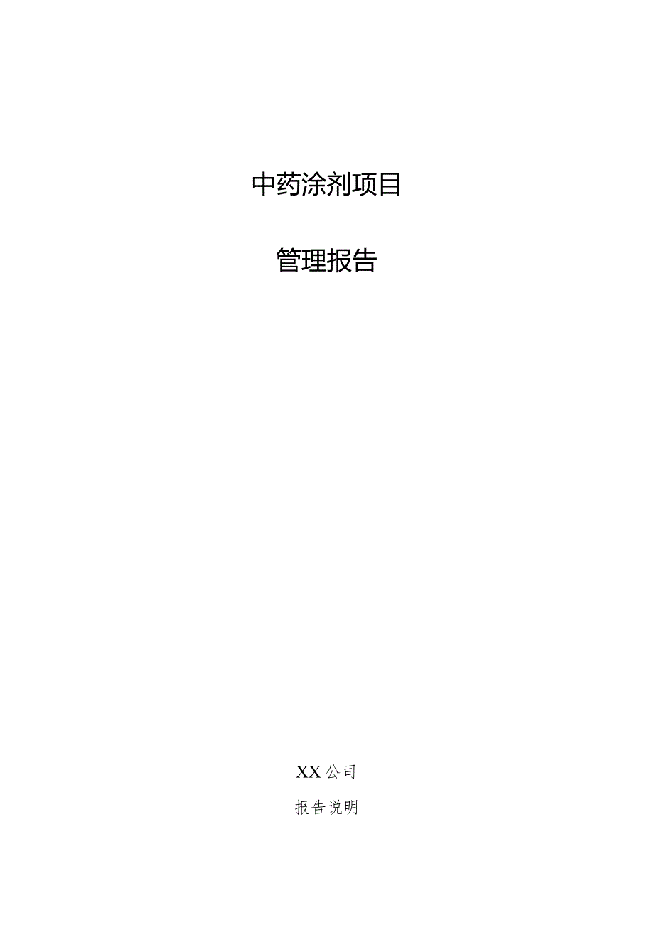 中药涂剂项目管理报告.docx_第1页