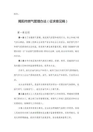 揭阳市燃气管理办法（征求意见稿）.docx