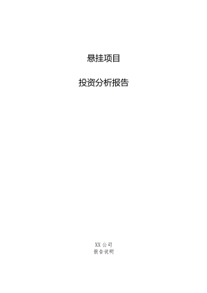 悬挂项目投资分析报告.docx