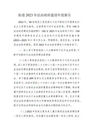 街道2023年法治政府建设年度报告范文.docx