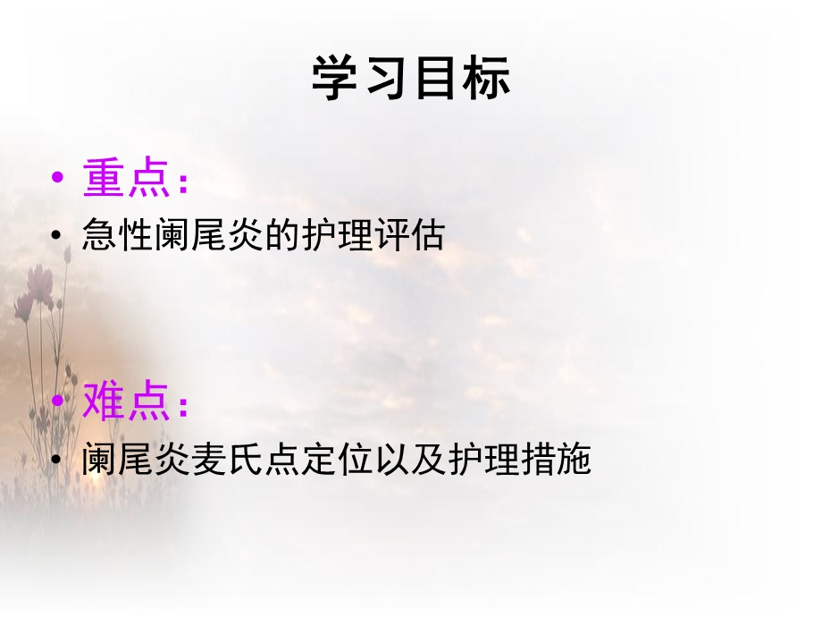 急性阑尾炎.ppt_第2页