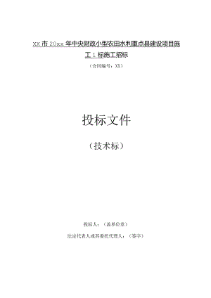 某市20xx年中央财政小型农田水利重点县建设项目招标文件.docx