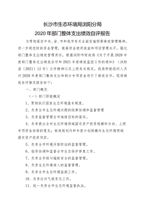 长沙市生态环境局浏阳分局2020年部门整体支出绩效自评报告.docx