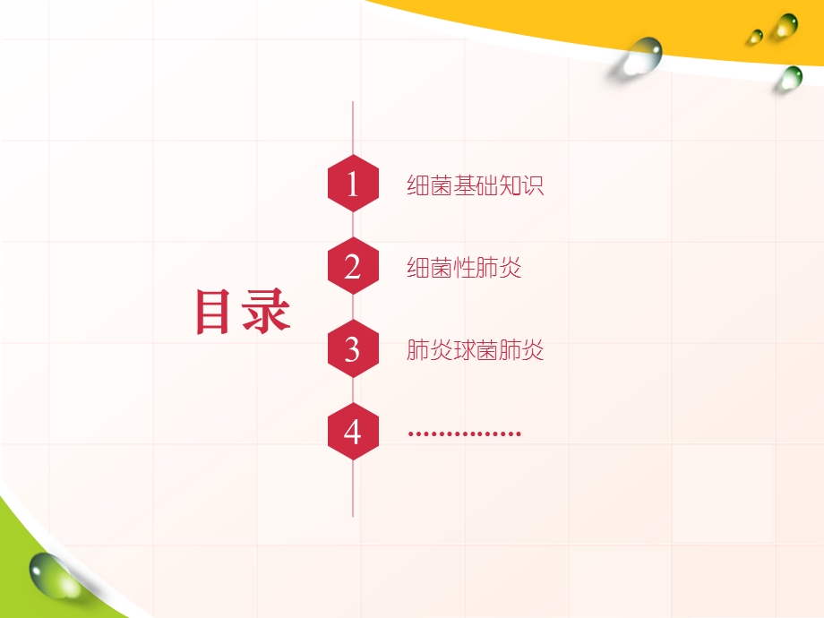 细菌性肺炎.ppt_第2页