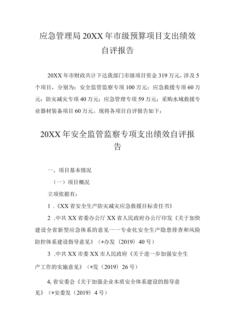 应急管理局20XX年市级预算项目支出绩效自评报告.docx_第1页