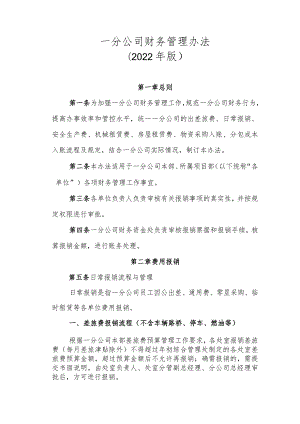 一分公司财务管理办法（2022年版）.docx