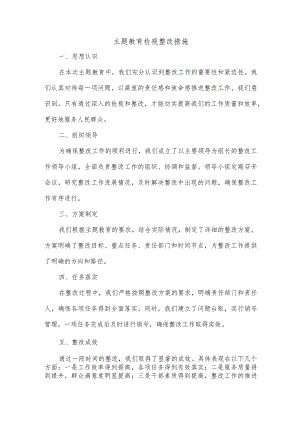 主题教育 检视整改措施.docx