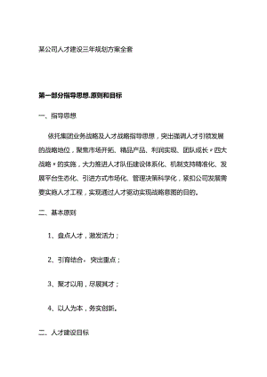 某公司人才建设三年规划方案全套.docx