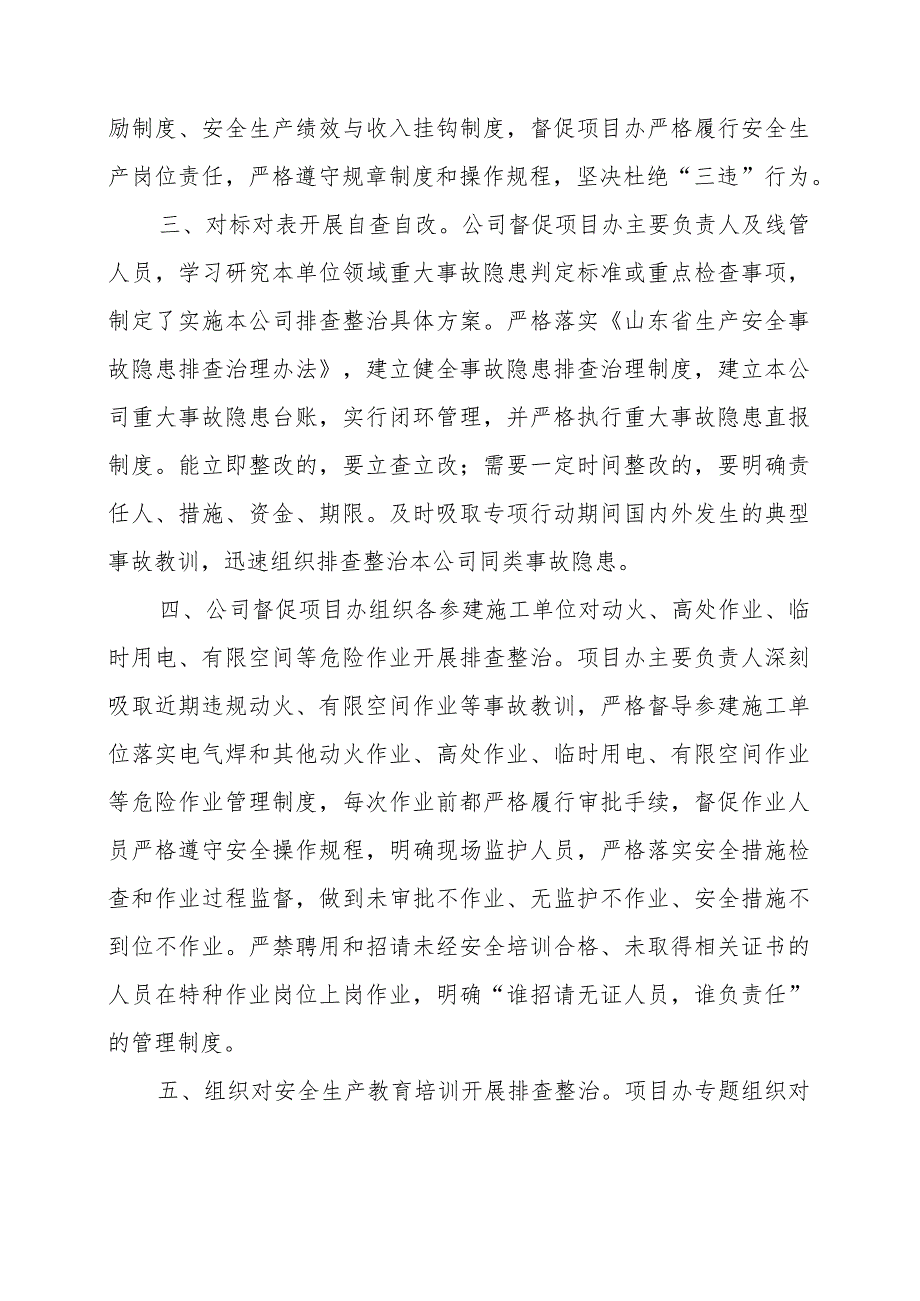 重大事故隐患专项排查整治行动2023推进情况汇报.docx_第2页