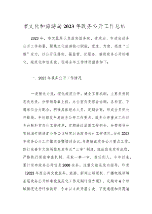 市文化和旅游局2023年政务公开工作总结.docx