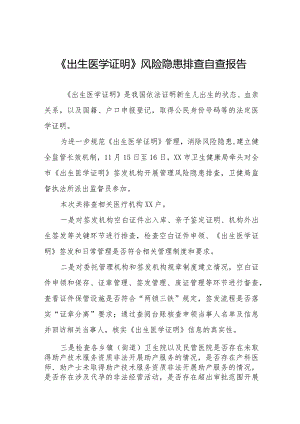 出生医学证明专项督查报告十三篇.docx