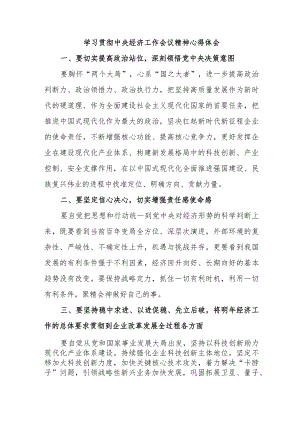 电力公司工作员学习贯彻中央经济工作会议精神.docx