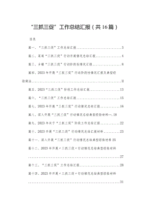 “三抓三促”工作总结汇报(精选16篇).docx