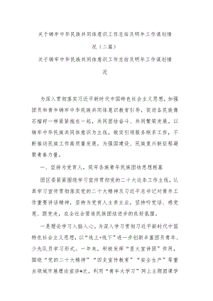 关于铸牢中华民族共同体意识工作总结及明年工作谋划情况(二篇).docx