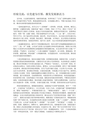 经验交流：以党建为引领激发发展新活力.docx