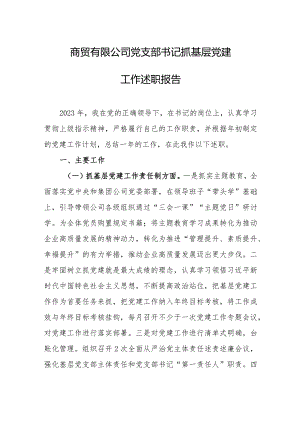 商贸有限公司党支部书记抓基层党建工作述职报告.docx