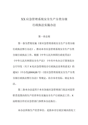 XX应急管理系统安全生产分类分级行政执法实施办法.docx