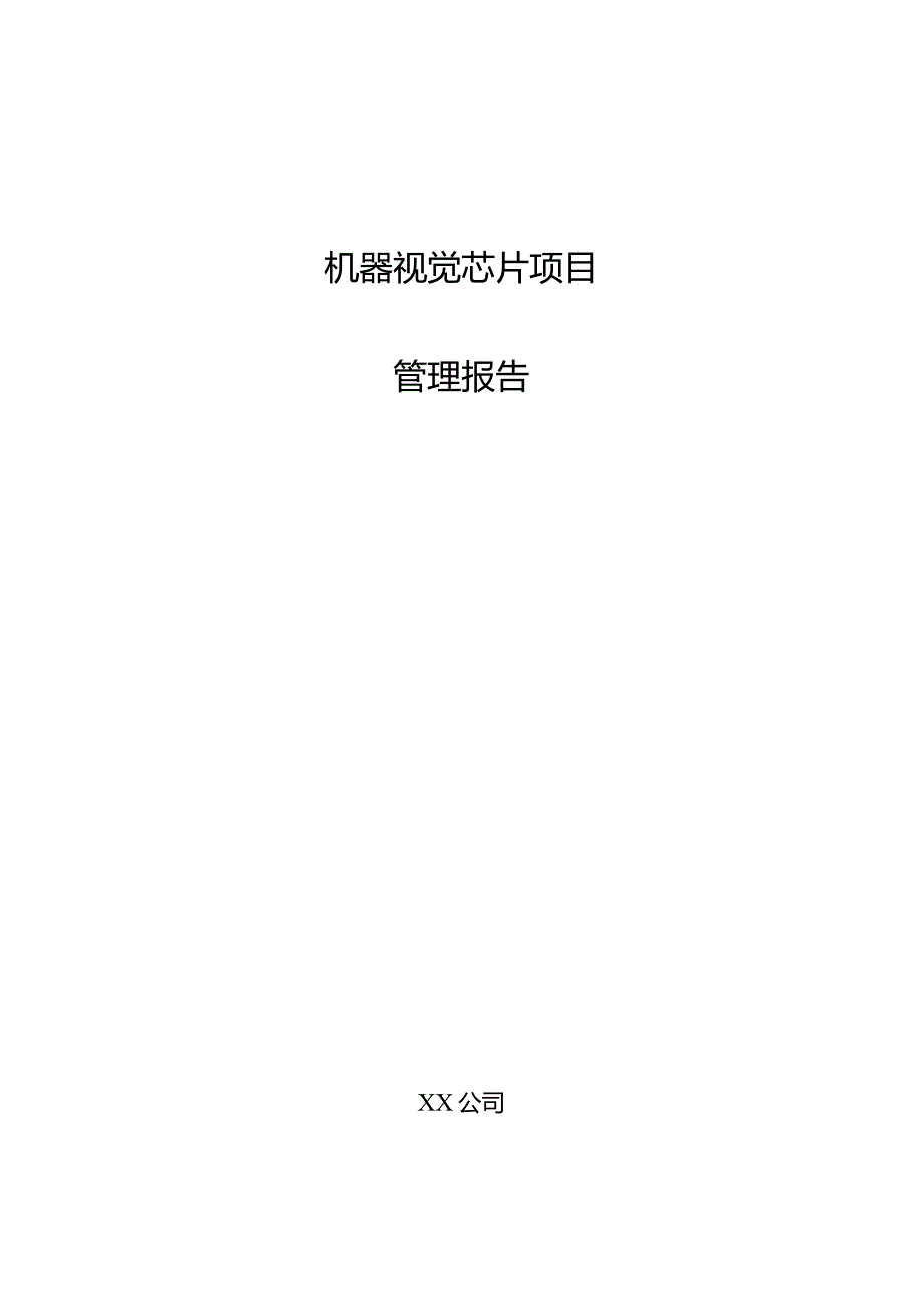 机器视觉芯片项目管理报告.docx_第1页