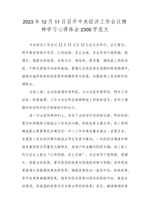 2023年12月11日召开中央经济工作会议精神学习心得体会2300字范文.docx