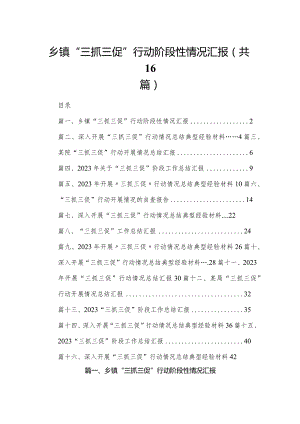 乡镇“三抓三促”行动阶段性情况汇报最新版16篇合辑.docx