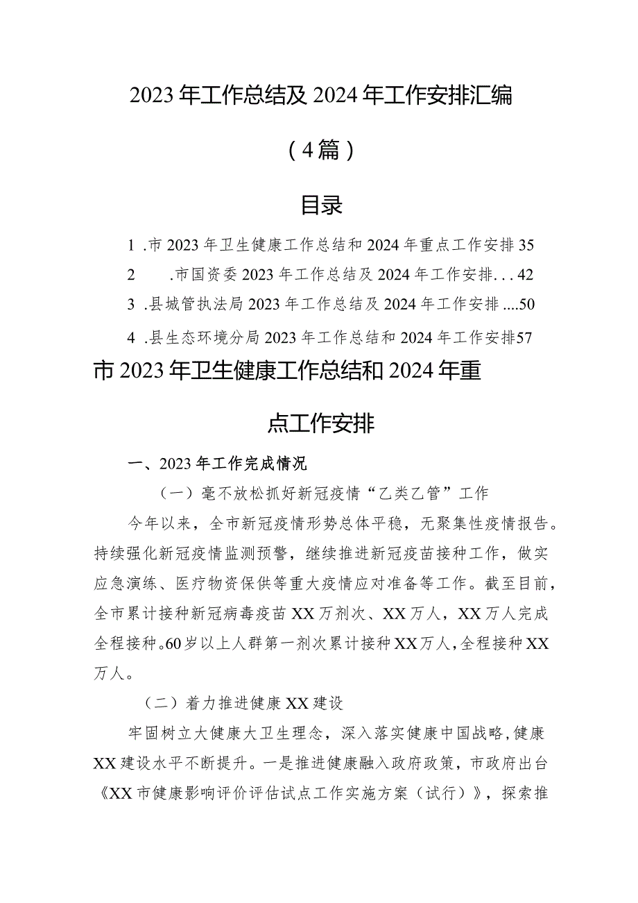 2023年工作总结及2024年工作安排汇编（4篇）.docx_第1页