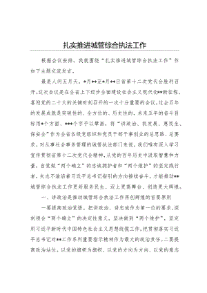 城管综合执法工作研讨发言.docx