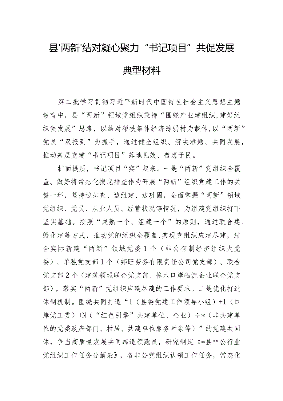 县“两新”结对凝心聚力 “书记项目”共促发展典型材料.docx_第1页