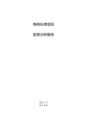 电鸣乐器项目投资分析报告.docx