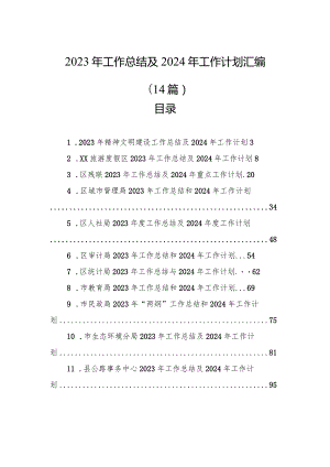 2023年工作总结及2024年工作计划汇编（14篇）.docx