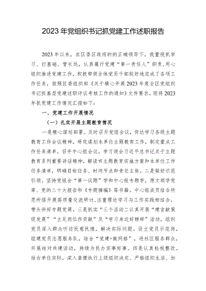 2023年党组织书记抓党建工作述职报告.docx