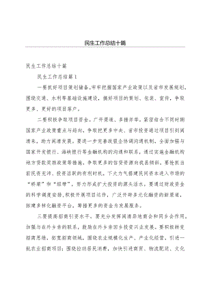 民生工作总结十篇.docx