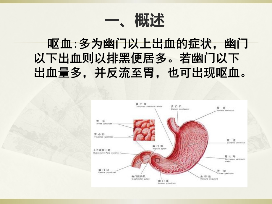 上消化道出血.ppt_第2页