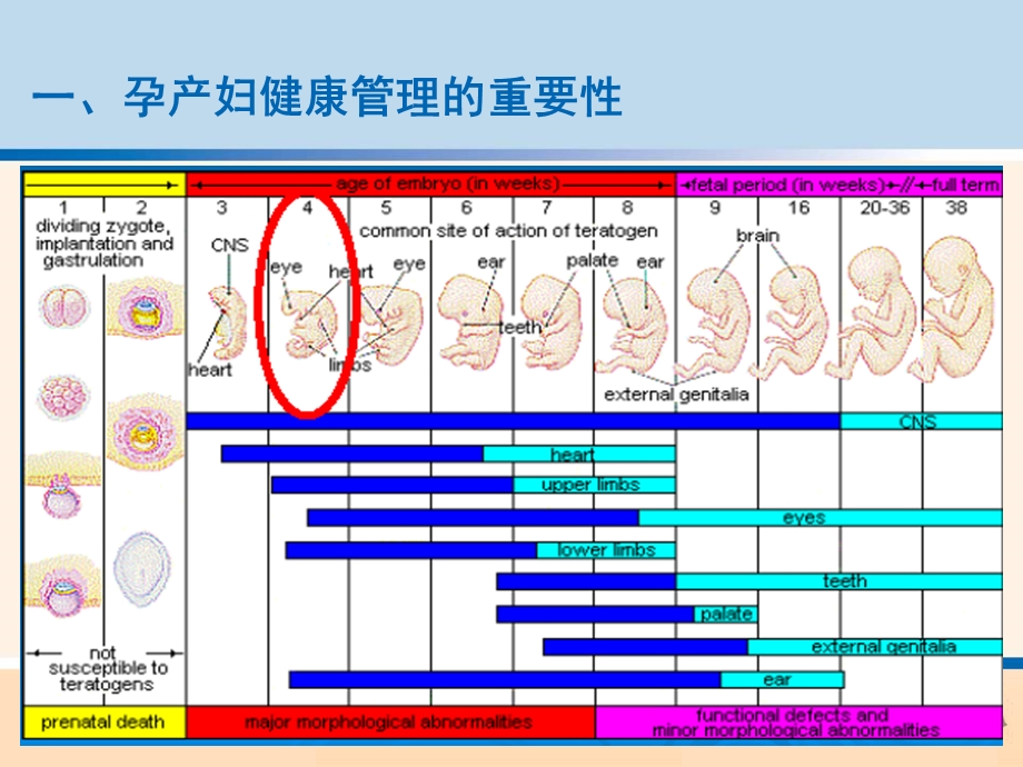 孕产妇健康管理的目标内容包括.ppt_第3页