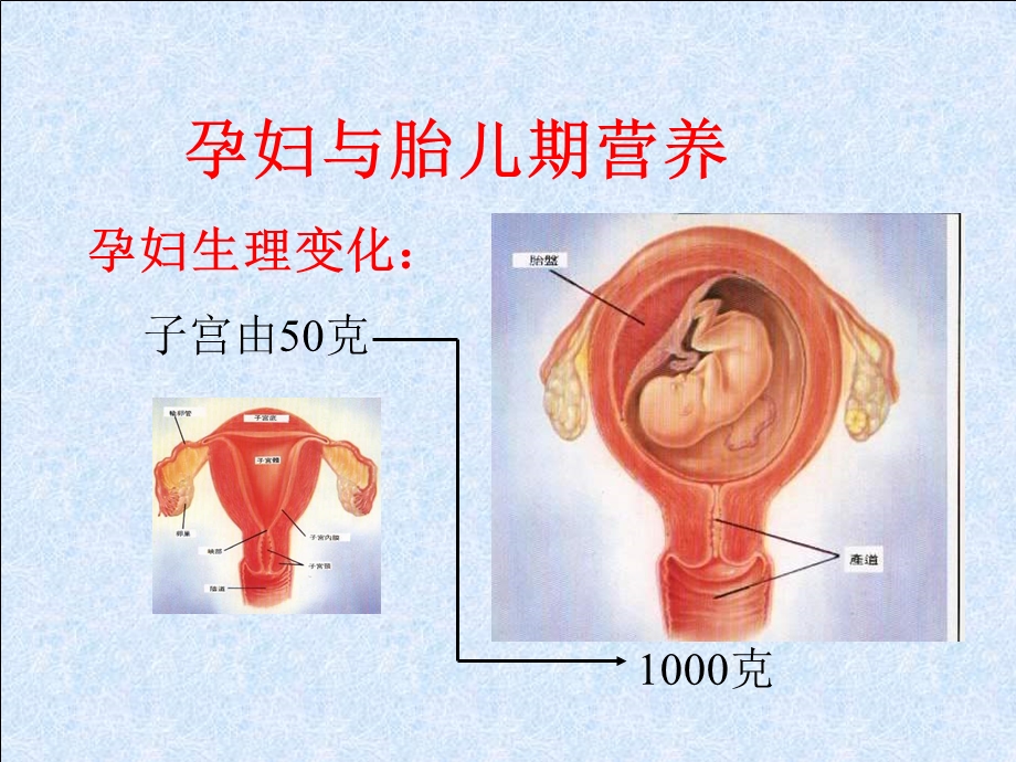 女性健康与营养.ppt.ppt_第3页