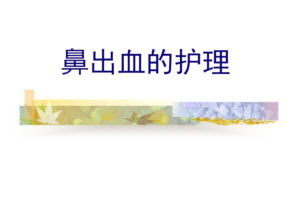 耳鼻喉科鼻出血..ppt_第1页