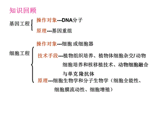 3.1体内受精和早期胚胎发育.ppt