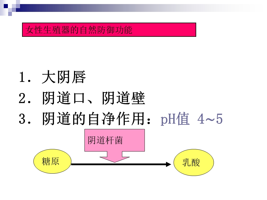 妇科炎症[最新].ppt_第3页