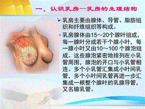 乳腺.ppt.ppt