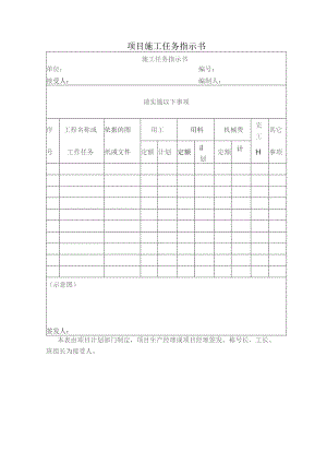 项目施工任务指示书.docx