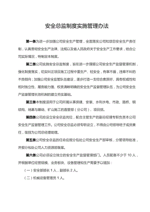 集团公司安全总监制度实施管理办法范文.docx