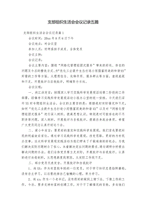 支部组织生活会会议记录五篇.docx