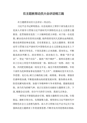 在主题教育动员大会讲话稿三篇.docx