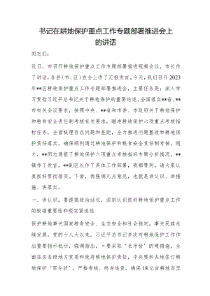 书记在耕地保护重点工作专题部署推进会上的讲话 .docx