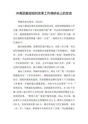 共青团基层组织改革工作调研会上的发言.docx