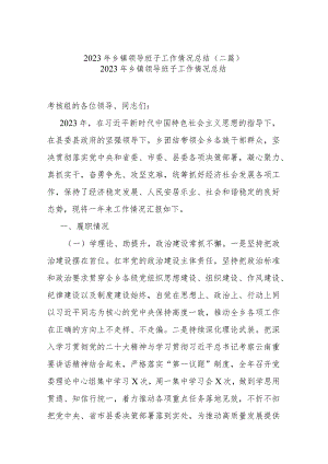 2023年乡镇领导班子工作情况总结(二篇).docx