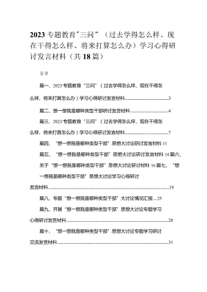 专题教育“三问”（过去学得怎么样、现在干得怎么样、将来打算怎么办）学习心得研讨发言材料18篇供参考.docx