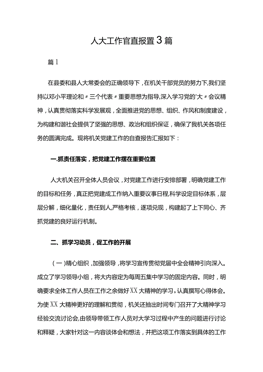 人大工作自查报告3篇.docx_第1页